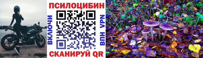 MEGA цены Звенигород Галлюциногенные грибы MAGIC MUSHROOMS