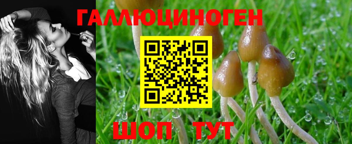 Амфетамин Звенигород