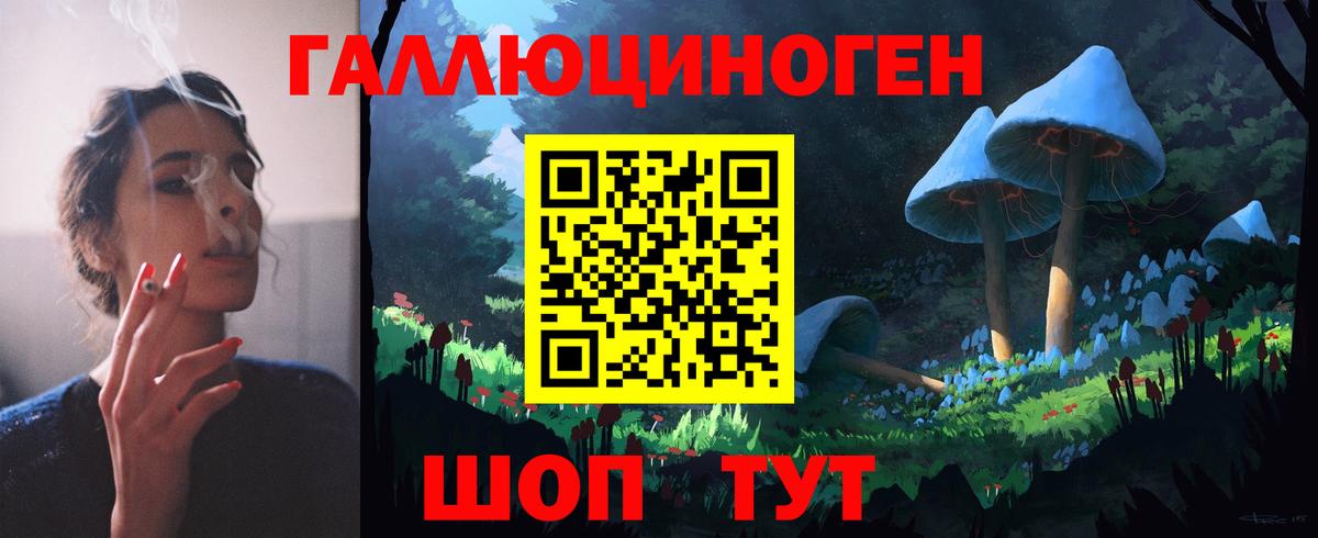 Галлюциногенные грибы Psilocybine cubensis  Вход с VPN  Звенигород 