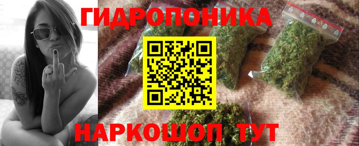 МАРИХУАНА SATIVA & INDICA  Вход с VPN  Канабис марихуана  Шишки марихуана Ganja  Звенигород  МАРИХУАНА марихуана 